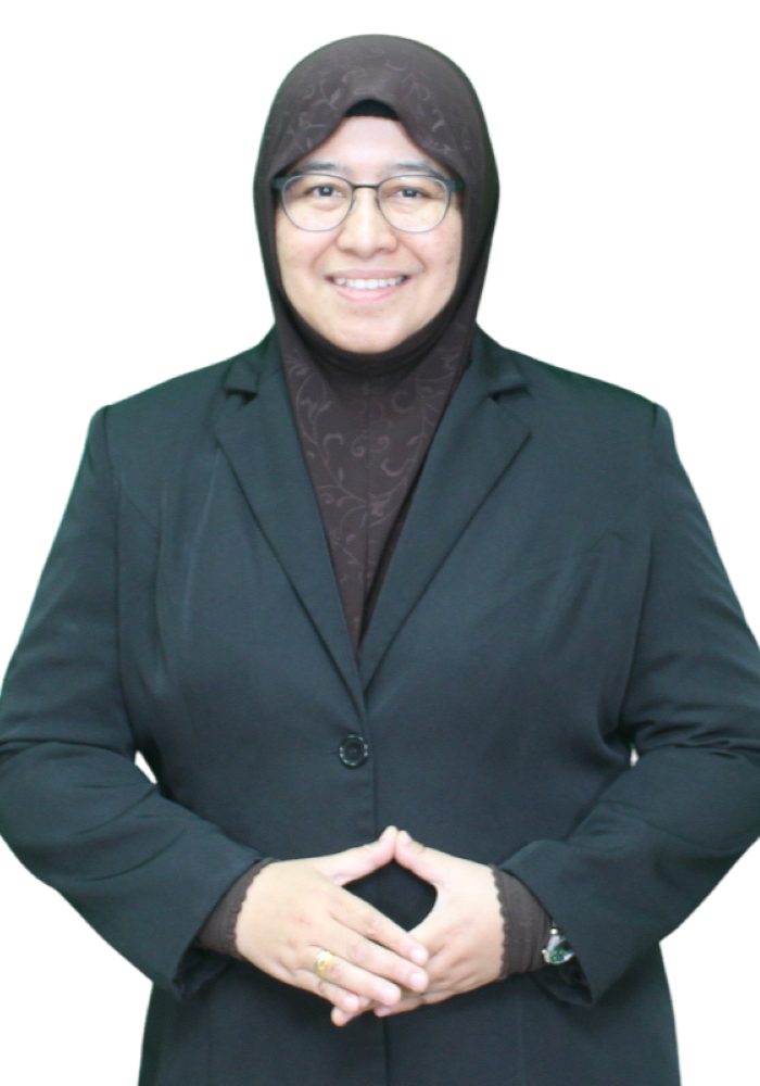 Ir. Ts. Dr. Nurlaila Ismail